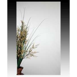 MC11244-W Mirror Cabinet in White