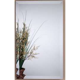 MC4550 Mirror Cabinet Glass