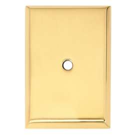 Escutcheon Backplate Escutcheons 1-7/8-in in Polished Brass