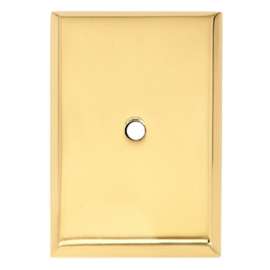 Escutcheon Backplate Escutcheons 2-1/4-in in Polished Brass
