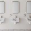 Vitreous China Shroud with EverClean(R) for Wall-Hung Sink, 0059020EC.020