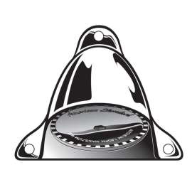 Institutional 1.5 GPM Wall Mounted Vandal-Resistant Showerhead in Chrome