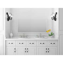 2-Handle Widespread Bathroom Faucet with Red/Blue Indicators and SC Drain in Brushed Nickel