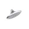 2.5 GPM Single Function Shower Head in Polished Chrome