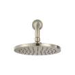 Studio S 2.5 GPM Single Function Rain Shower Head