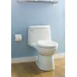 1.6 Gpf Elongated Right Height One-Piece Toilet with Seat, in Linen