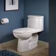 Compact Flowise 1-Piece 1.28 Gpf Single Flush Elongated Toilet