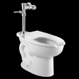 Everclean Commercial Toilet With Manual Flushing Valve Combo