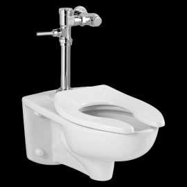 Commercial Afwall Millenium Toilet with Manual Flushing Valve Combo