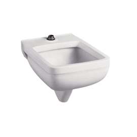 Service Sink Wall Mounted with 1 1/2 Brass Top Spud in White