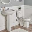 22-Inch Evolution 4-Inch Centerset Pedestal Sink Top and Leg Combination, 0467400.020