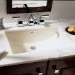 Studio(R) Under Counter Sink, 0614000.020