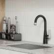 Aspirations Pull-Down Bar Faucet, 1048274230