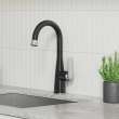 Aspirations Pull-Down Bar Faucet, 1048274230