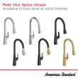 Aspirations Touchless Pull-Down Kitchen Faucet, 1048800000