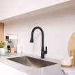 Aspirations Touchless Pull-Down Kitchen Faucet, 1048802430