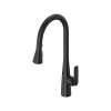 Aspirations Touchless Pull-Down Kitchen Faucet, 1048802430
