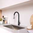 Aspirations Touchless Pull-Down Kitchen Faucet, 1048804230