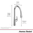Aspirations Touchless Pull-Down Kitchen Faucet, 1048804240