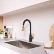 Aspirations Touchless Pull-Down Kitchen Faucet, 1048804240