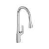 Aspirations Touchless Pull-Down Kitchen Faucet, 104880DC00