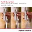 Aspirations Pull-Down Kitchen Faucet, 1048810000
