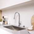 Aspirations Pull-Down Kitchen Faucet, 1048810000
