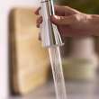Aspirations Pull-Down Kitchen Faucet, 1048810000