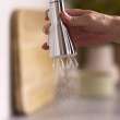 Aspirations Pull-Down Kitchen Faucet, 1048810000