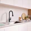 Aspirations Pull-Down Kitchen Faucet, 1048812430