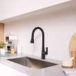 Aspirations Pull-Down Kitchen Faucet, 1048812430
