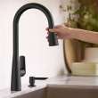 Aspirations Pull-Down Kitchen Faucet, 1048812430