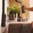 Aspirations Pull-Down Kitchen Faucet, 1048812430