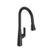 Aspirations Pull-Down Kitchen Faucet, 1048812430