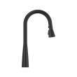 Aspirations Pull-Down Kitchen Faucet, 1048812430