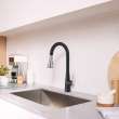 Aspirations Pull-Down Kitchen Faucet, 1048814230