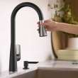 Aspirations Pull-Down Kitchen Faucet, 1048814230