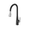 Aspirations Pull-Down Kitchen Faucet, 1048814230
