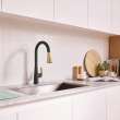 Aspirations Pull-Down Kitchen Faucet, 1048814240