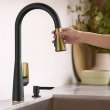 Aspirations Pull-Down Kitchen Faucet, 1048814240