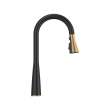 Aspirations Pull-Down Kitchen Faucet, 1048814240