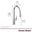 Aspirations Pull-Down Kitchen Faucet, 104881DC00