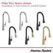 Aspirations Pull-Down Kitchen Faucet, 104881DC00