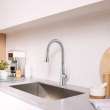 Aspirations Pull-Down Kitchen Faucet, 104881DC00