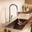 Aspirations Pull-Down Kitchen Faucet, 104881DC00