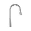 Aspirations Pull-Down Kitchen Faucet, 104881DC00