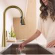 Aspirations Pull-Down Kitchen Faucet, 104881GN00