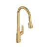 Aspirations Pull-Down Kitchen Faucet, 104881GN00
