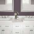 Town Square(R) S Drop-In Sink With 8-Inch Widespread, 1203008.020