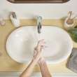Studio(R) S Above Counter Oval Sink, 1296000.020